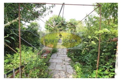 Borghetto Lodigiano. Casale con 4 abitazioni e terreno in vendita. Riferimento 392 (14)