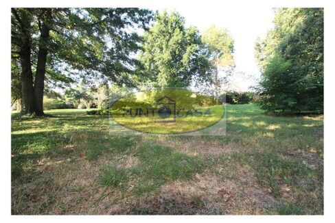 Borghetto Lodigiano. Vendesi casale con piscina e terreno. Riferimento 389 (12)