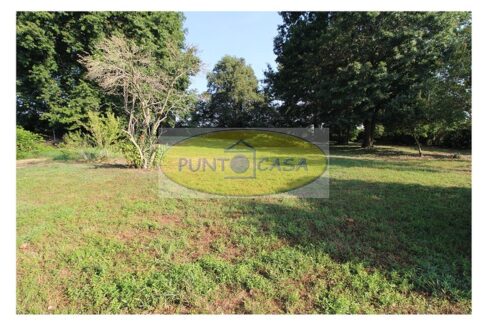 Borghetto Lodigiano. Vendesi casale con piscina e terreno. Riferimento 389 (14)