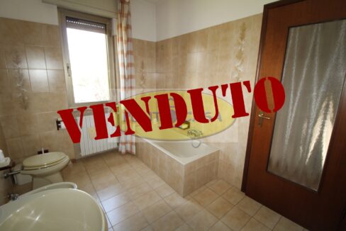 Brembio riferimento 544 (43)