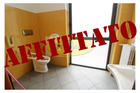 Lodi riferimento 3363 (31)