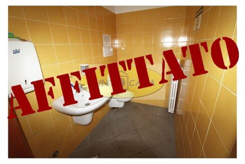 Lodi riferimento 3363 (35)