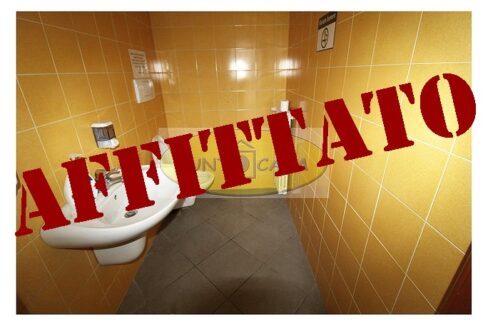 Lodi riferimento 3363 (38)