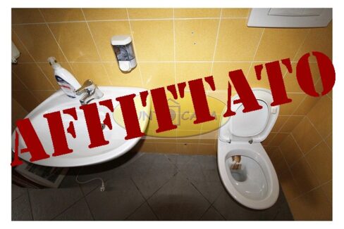 Lodi riferimento 3363 (39)