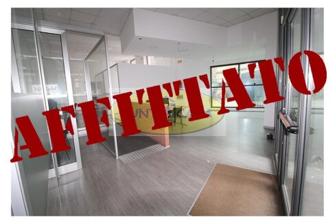 Lodi riferimento 3363 (4)