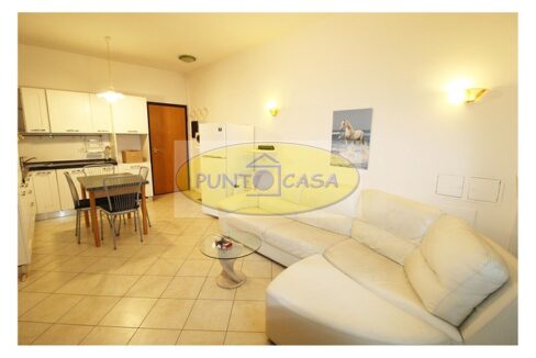 Lodi riferimento 3485 (4)