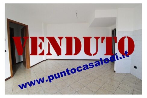 RIFERIMENTO 339 (10)