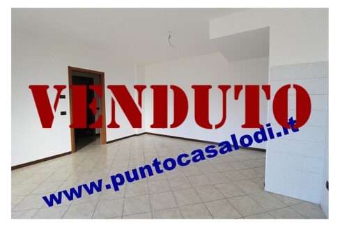 RIFERIMENTO 339 (11)