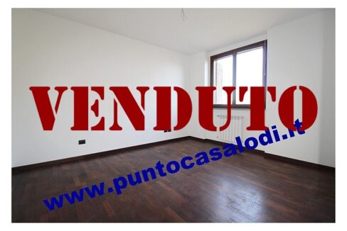 RIFERIMENTO 339 (13)