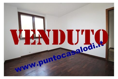 RIFERIMENTO 339 (16)