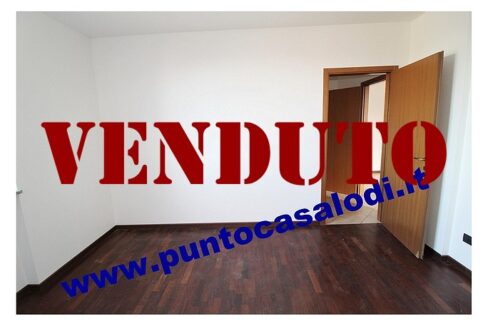 RIFERIMENTO 339 (17)