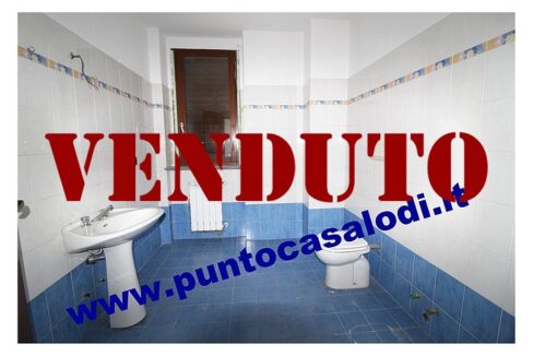 RIFERIMENTO 339 (19)