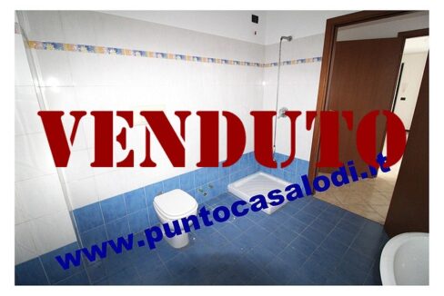 RIFERIMENTO 339 (20)