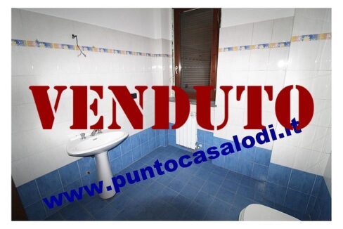 RIFERIMENTO 339 (21)