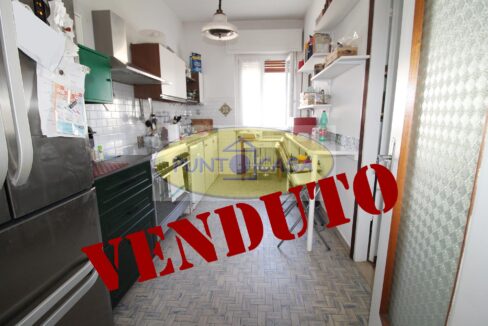 Riferimento 2797 (13)