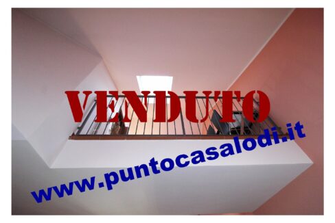 Riferimento 2907 (11)