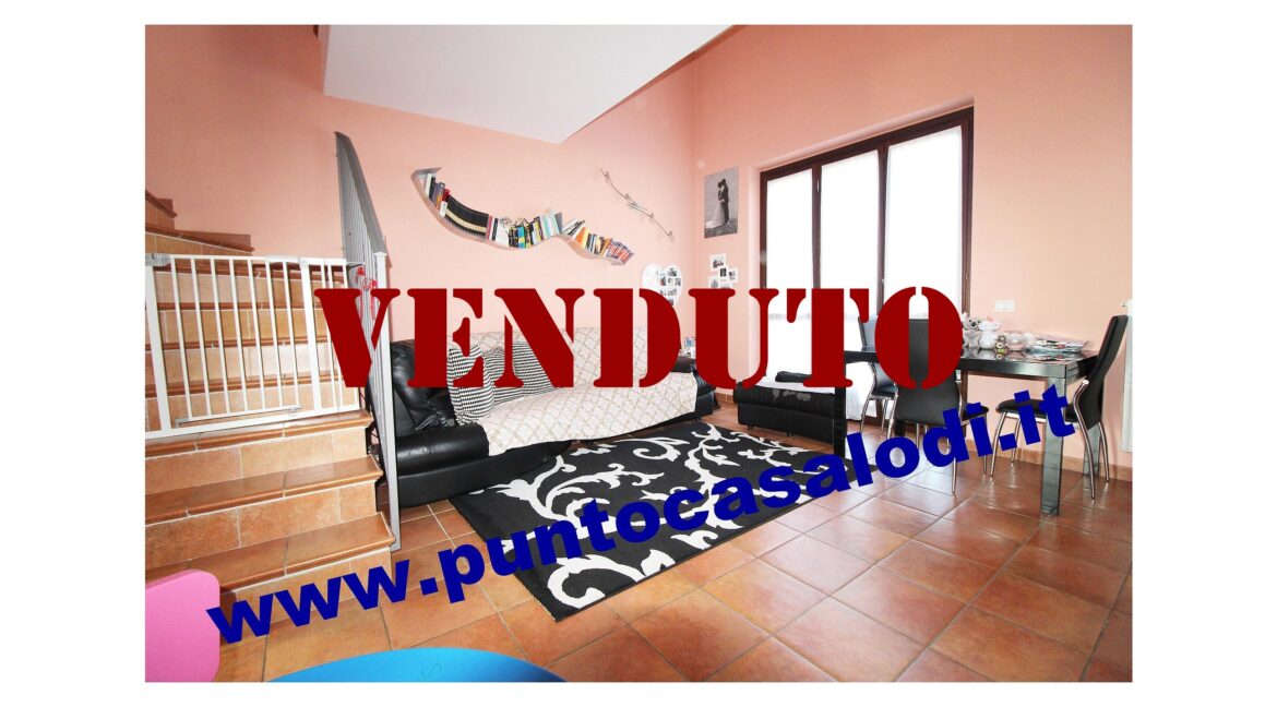 Riferimento 2907 (14)