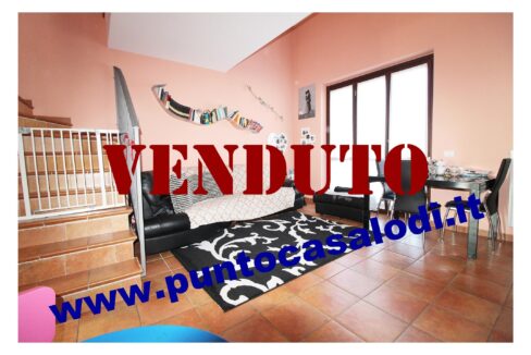 Riferimento 2907 (14)