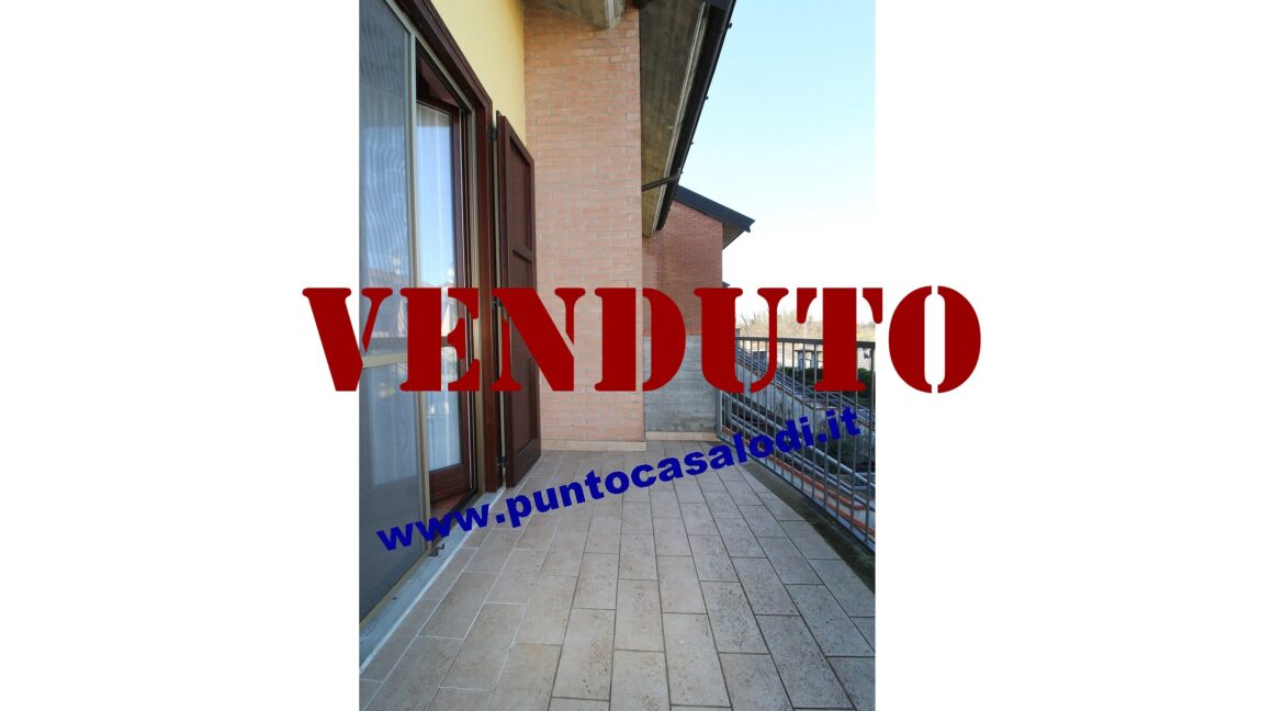 Riferimento 2907 (17)