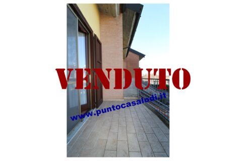 Riferimento 2907 (17)