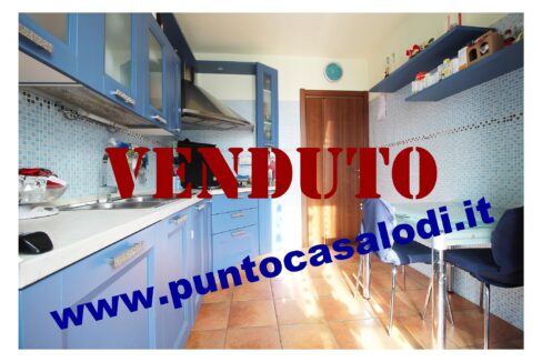 Riferimento 2907 (21)