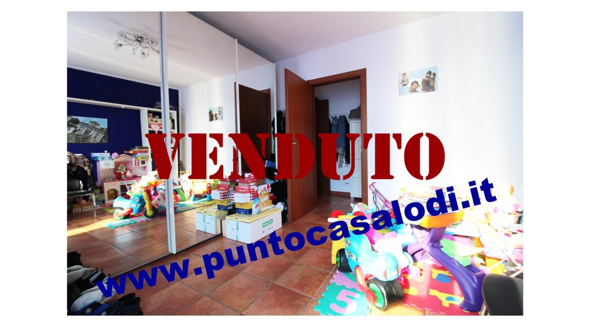 Riferimento 2907 (23)