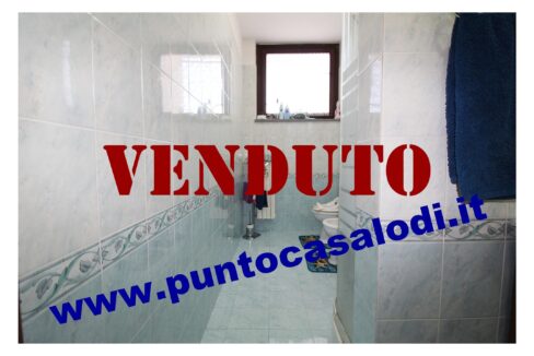 Riferimento 2907 (27)