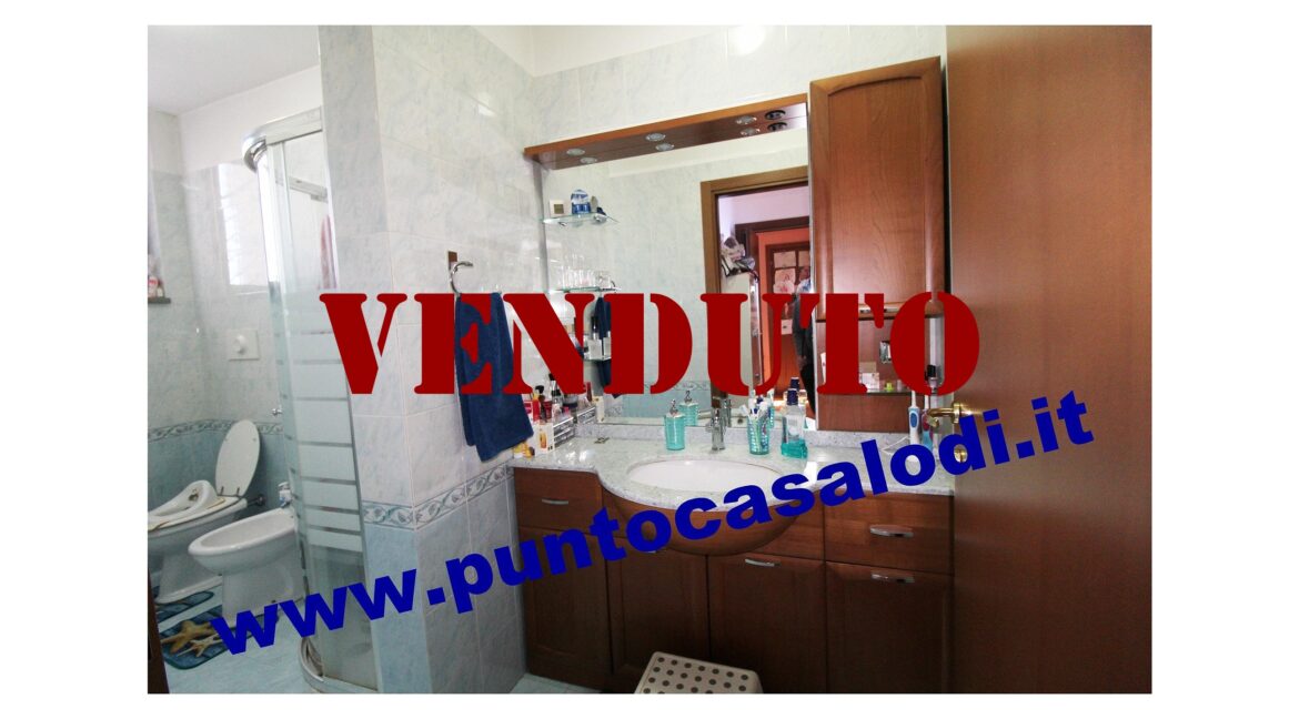 Riferimento 2907 (28)