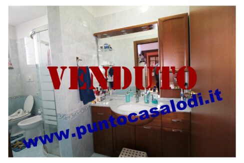 Riferimento 2907 (28)