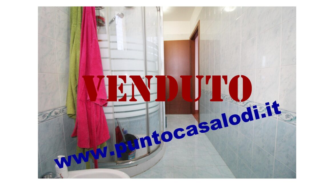 Riferimento 2907 (29)