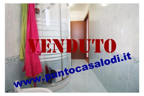 Riferimento 2907 (29)