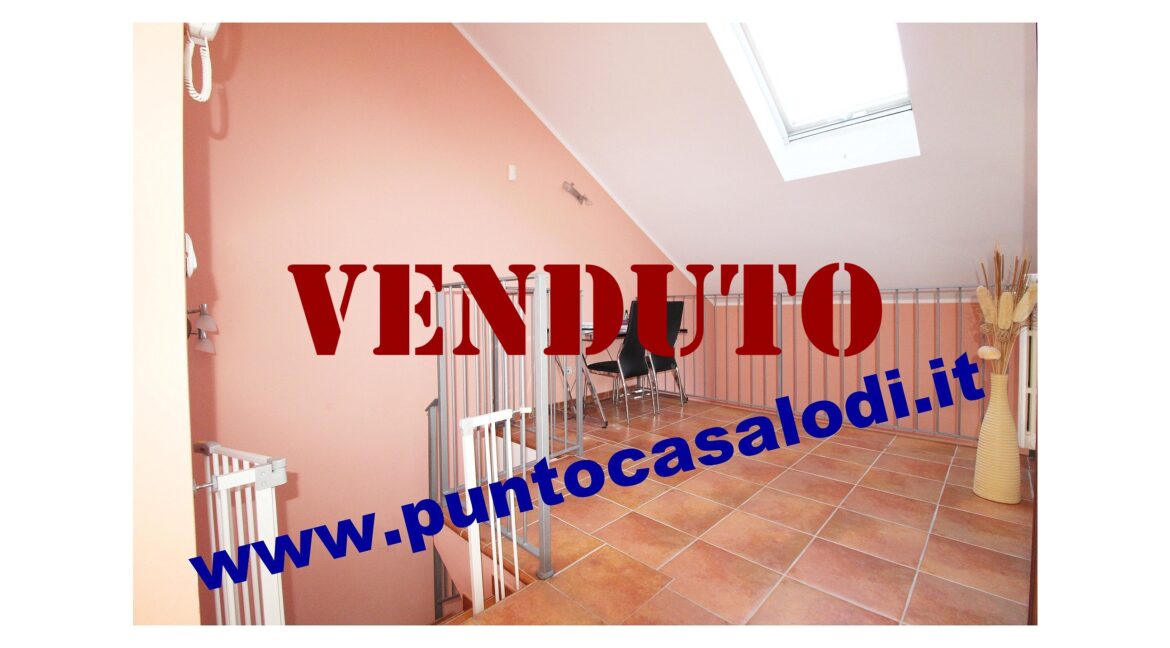 Riferimento 2907 (33)