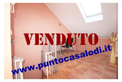 Riferimento 2907 (33)