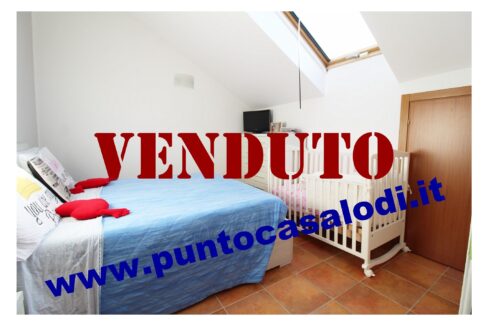 Riferimento 2907 (38)