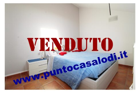 Riferimento 2907 (41)