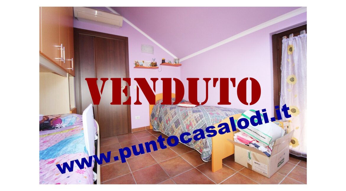 Riferimento 2907 (46)