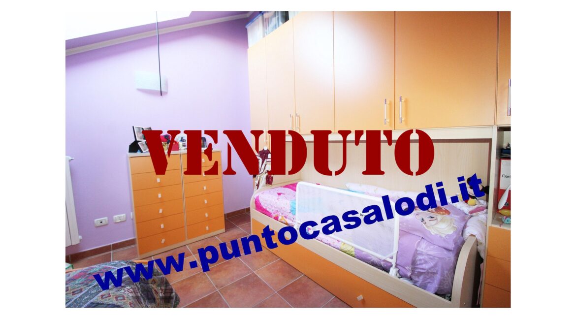 Riferimento 2907 (47)