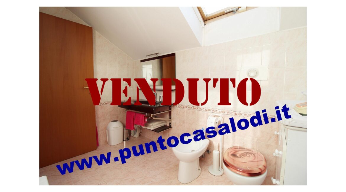 Riferimento 2907 (49)