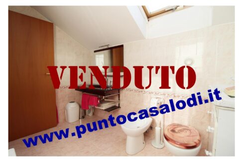 Riferimento 2907 (49)