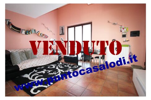 Riferimento 2907 (5)