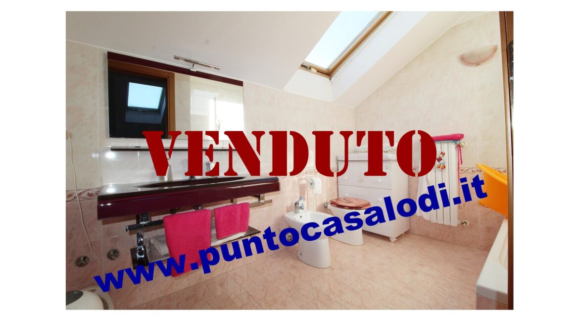 Riferimento 2907 (50)