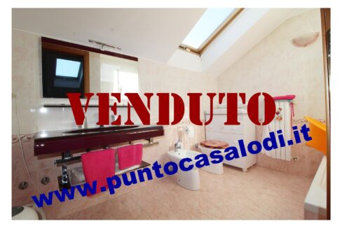 Riferimento 2907 (50)