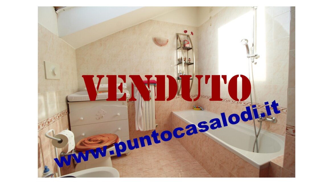 Riferimento 2907 (51)