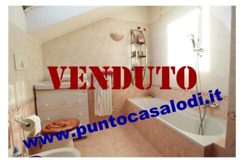Riferimento 2907 (51)