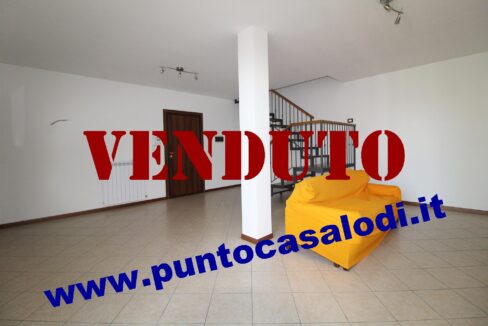 Riferimento 333 (11)