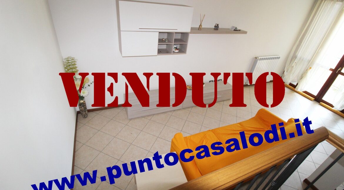 Riferimento 333 (13)