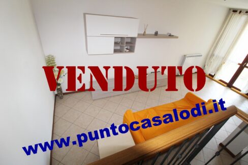 Riferimento 333 (13)