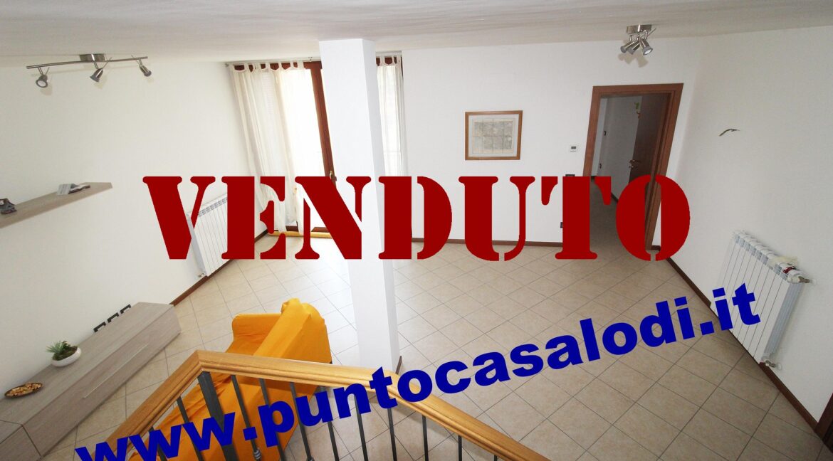 Riferimento 333 (14)