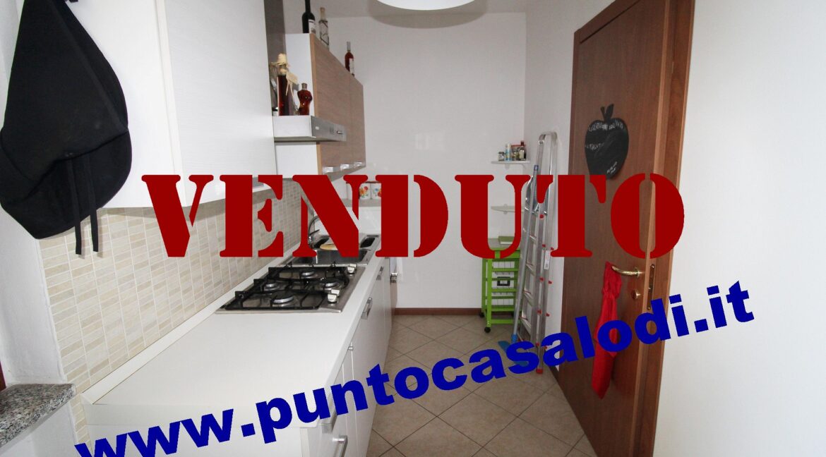 Riferimento 333 (15)