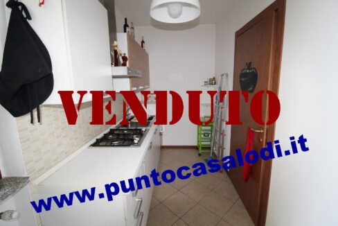 Riferimento 333 (15)